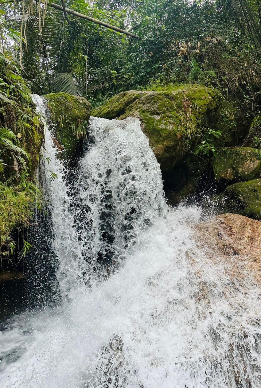 D'Flora Homestay Лабуан-Бахо Экстерьер фото