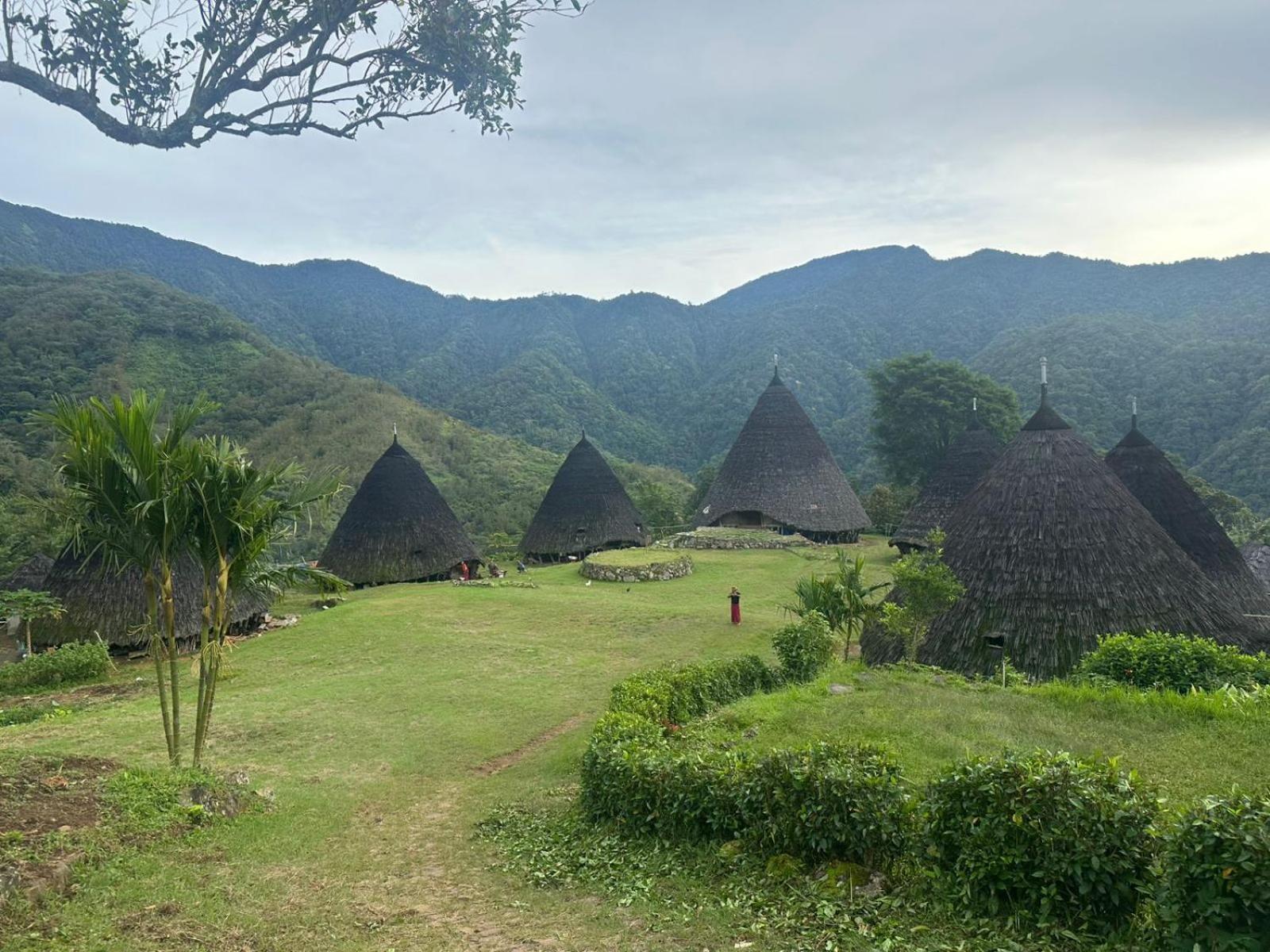 D'Flora Homestay Лабуан-Бахо Экстерьер фото