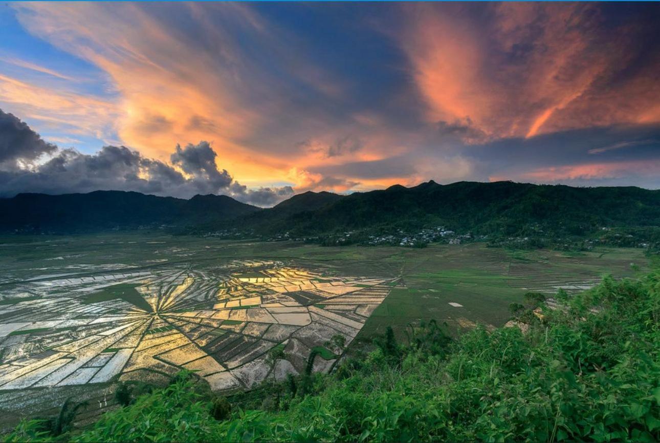 D'Flora Homestay Лабуан-Бахо Экстерьер фото