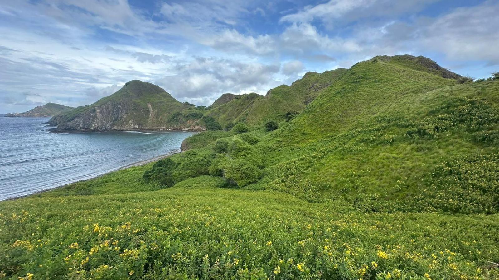 D'Flora Homestay Лабуан-Бахо Экстерьер фото