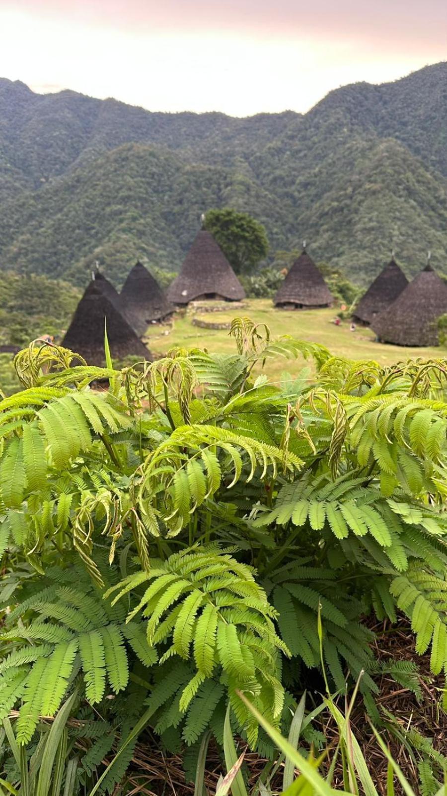 D'Flora Homestay Лабуан-Бахо Экстерьер фото